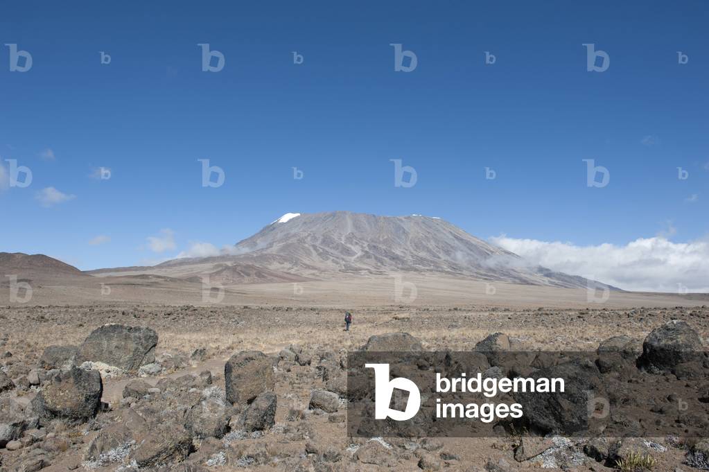 Lone hiker; view across the Kibo Saddle to the summit of Mt. Kilimanjaro; Marangu Route; Tanzania; East Africa; Africa