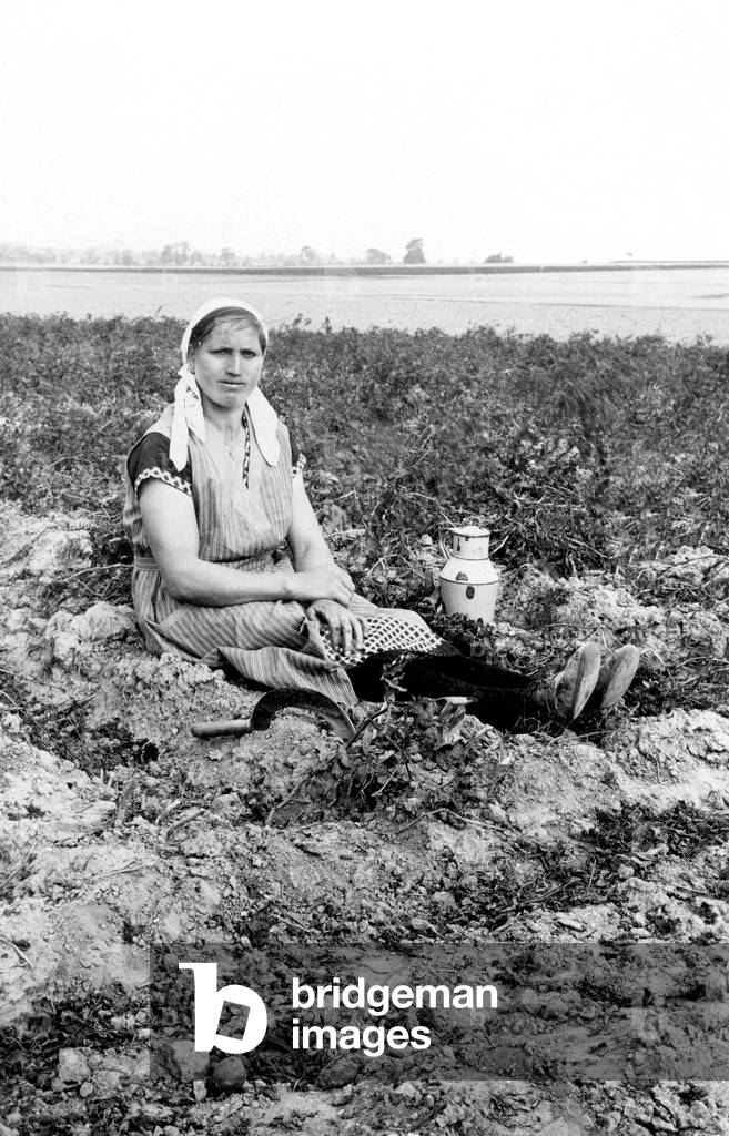 A young peasant in the German countryside, sitting on the ground to rest during her work. She wears a scarf in her hair. 1915 about Historic photo, peasant woman in the field, ca. 1915