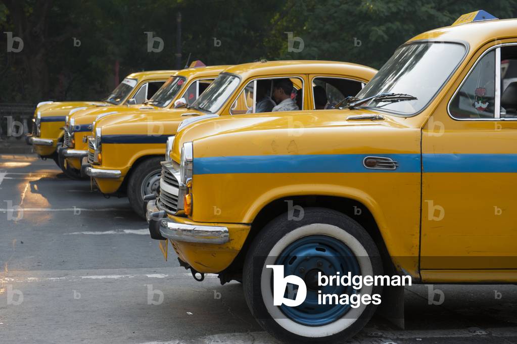 Transportation; four yellow Ambassador taxis in a row; Chowringhee; Kolkata; West Bengal; India; South Asia; Asia
