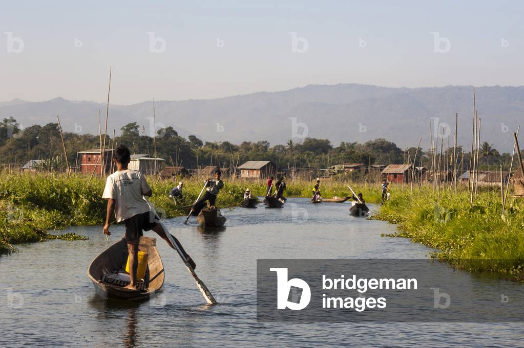 One-legged rowers in canoes, floating garden, fields on the water, Inle Lake, Shan State, Myanmar