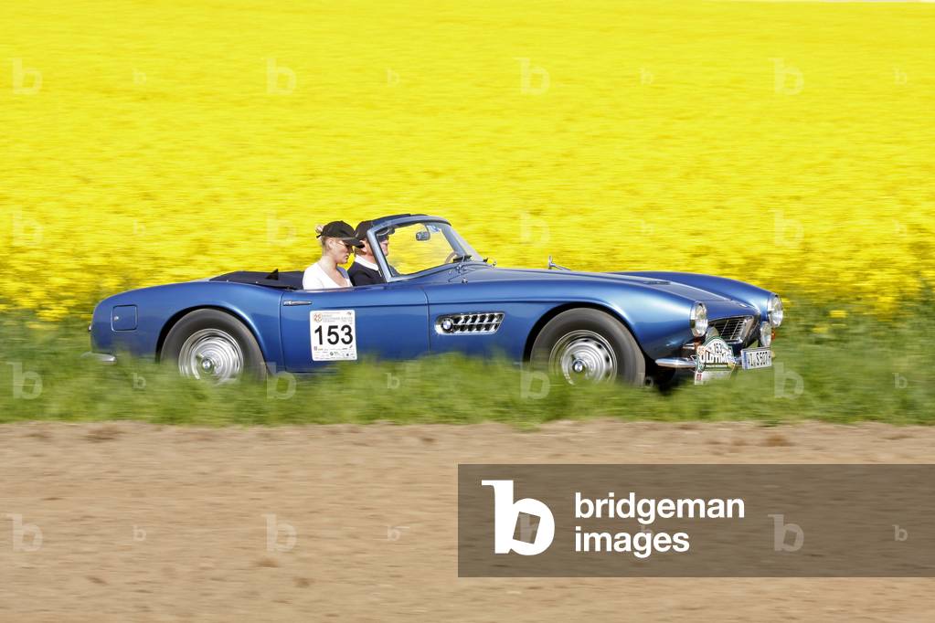 BMW 507, year of manufacture 1960, Oldtimer Rallye Wiesbaden 2008, Hessen, Germany, Europa