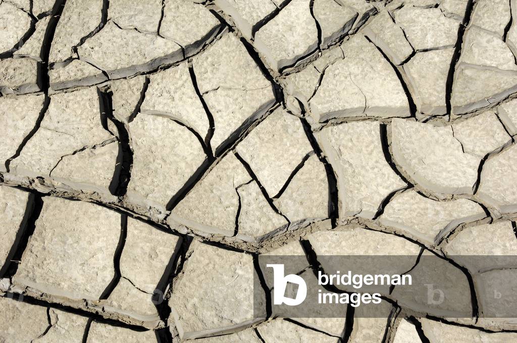 Parched ground, Camargue, Provence, Southern France, France, Europe. Photography