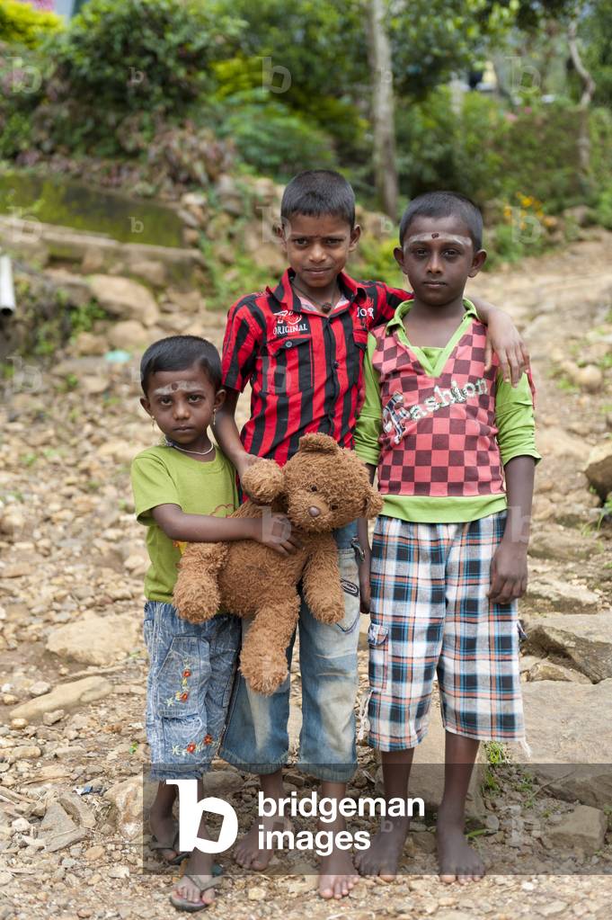 Three Tamil children with a teddy bear; bei Idalgashina; Sri Lanka; Asia