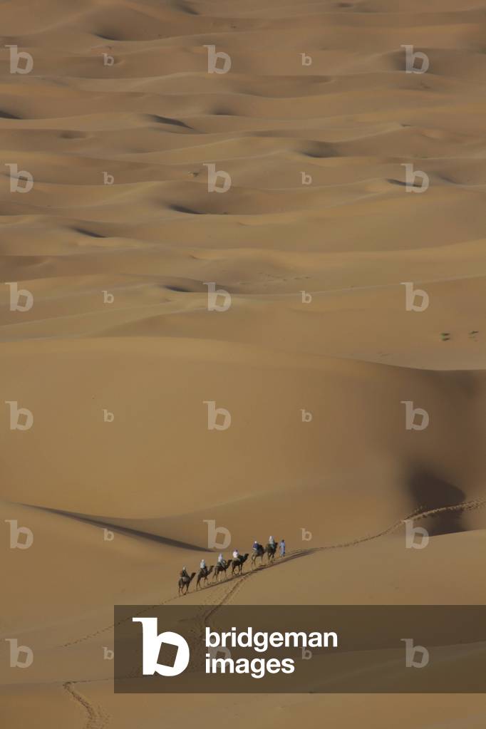 Camel caravan in the desert, Erg Chebbi, Morocco