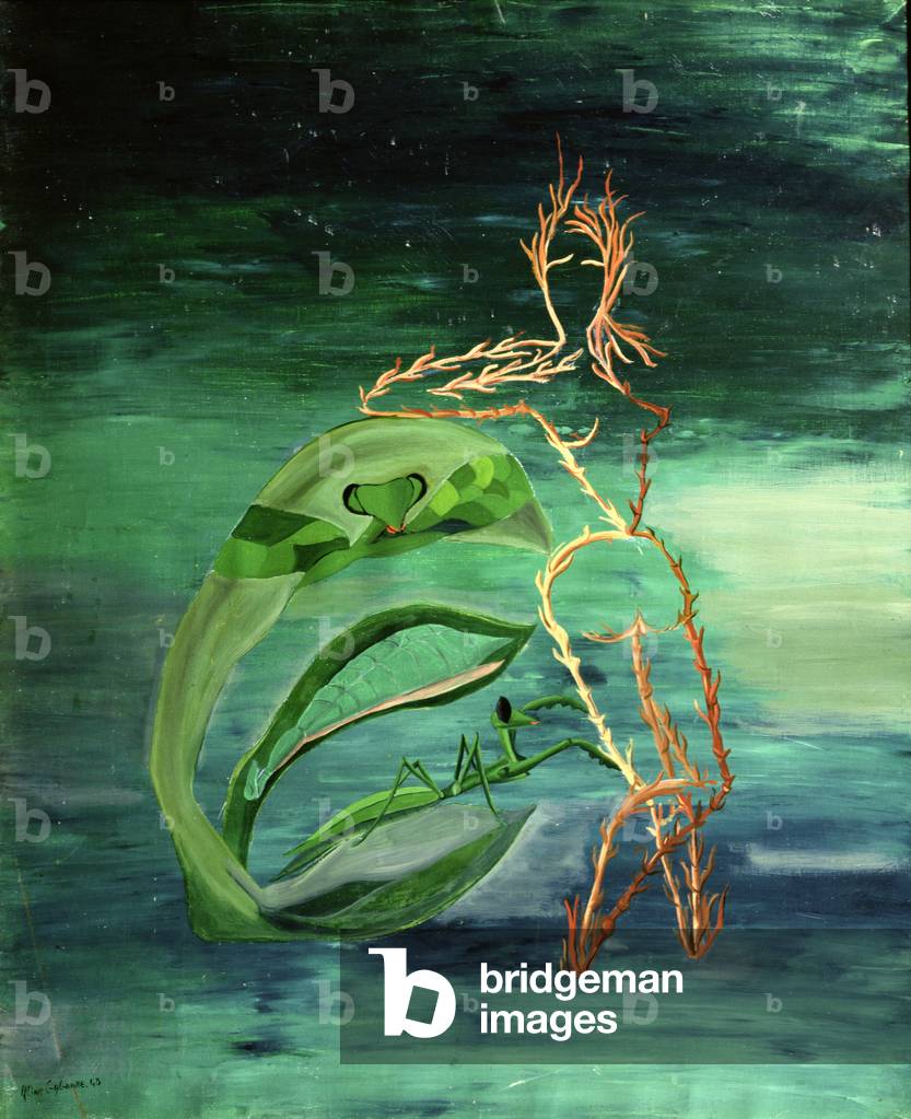 The Transcendent Transformation, 1945 (oil on canvas)