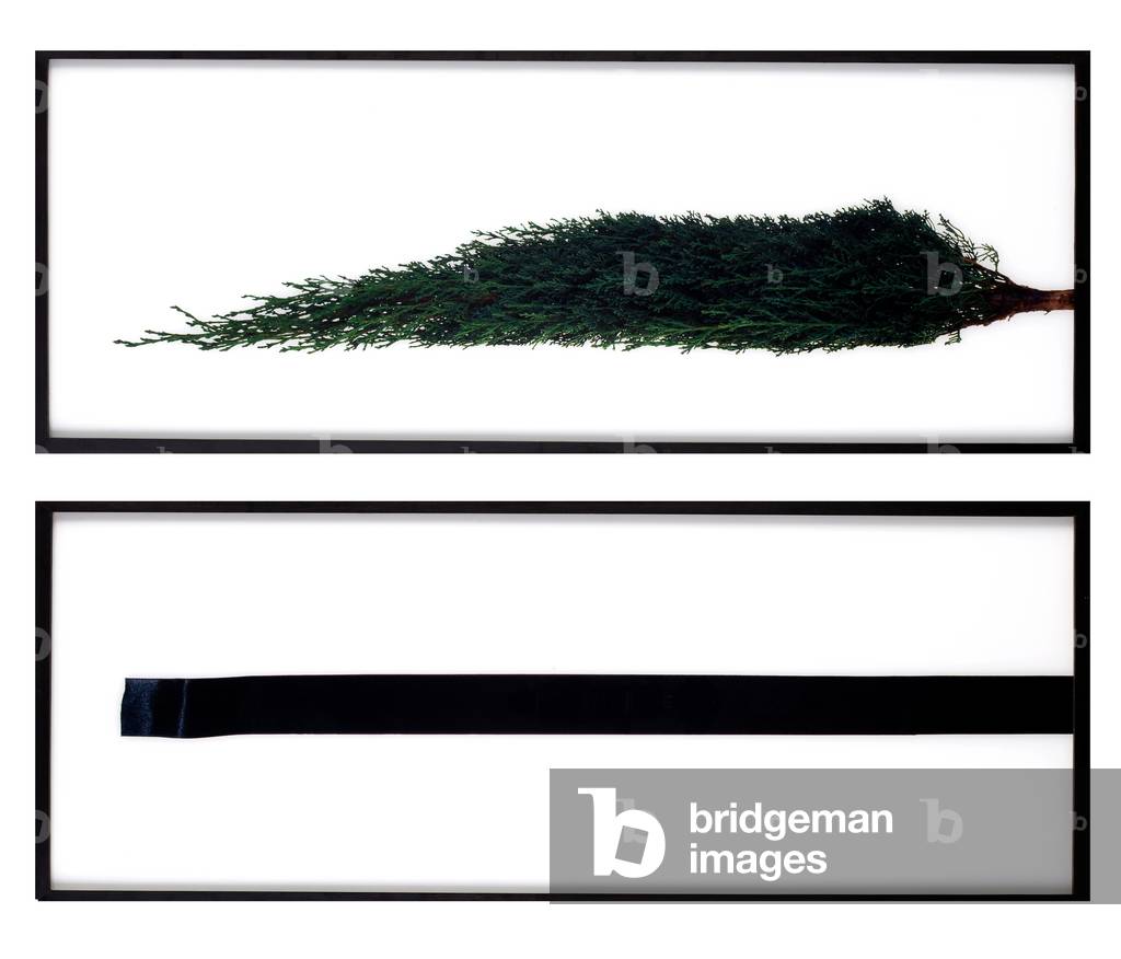 Diptych from the 'Queen of the Night' series, 2003 (photo)