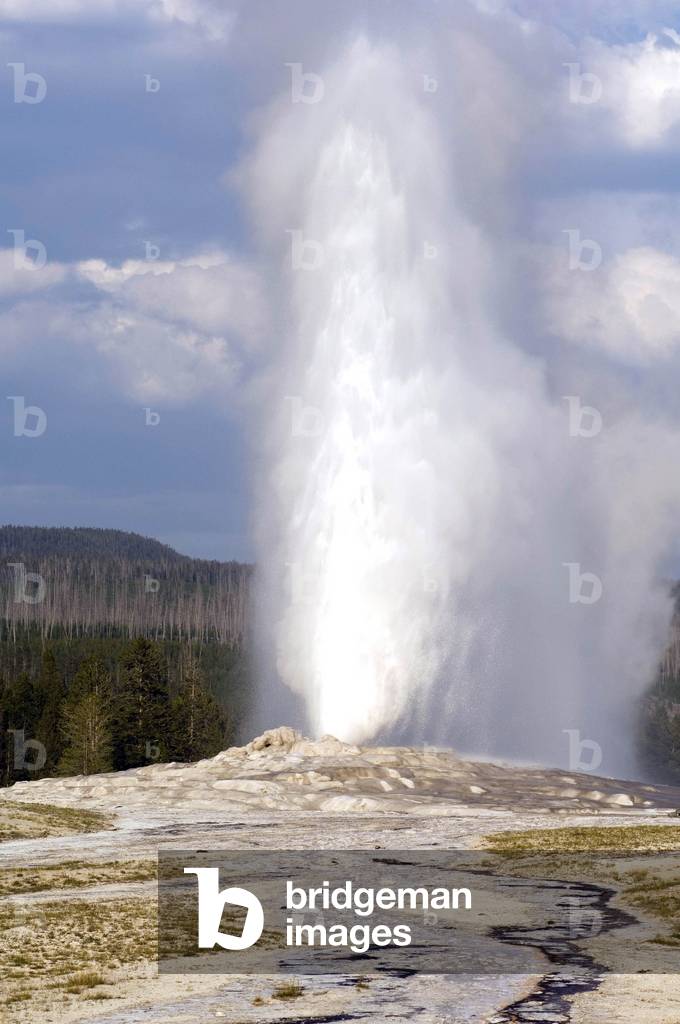 Geyser