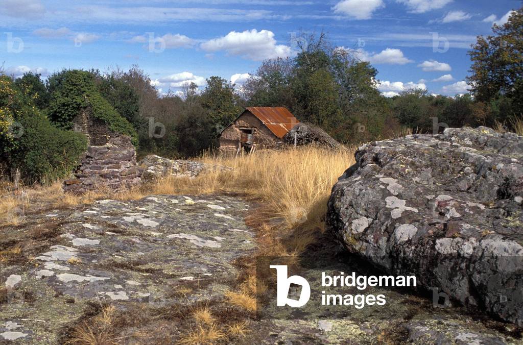 Foret de Broceliande