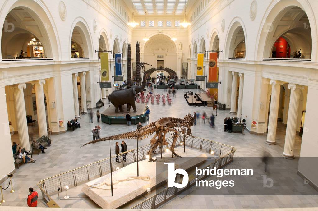 Field Museum of Natural History