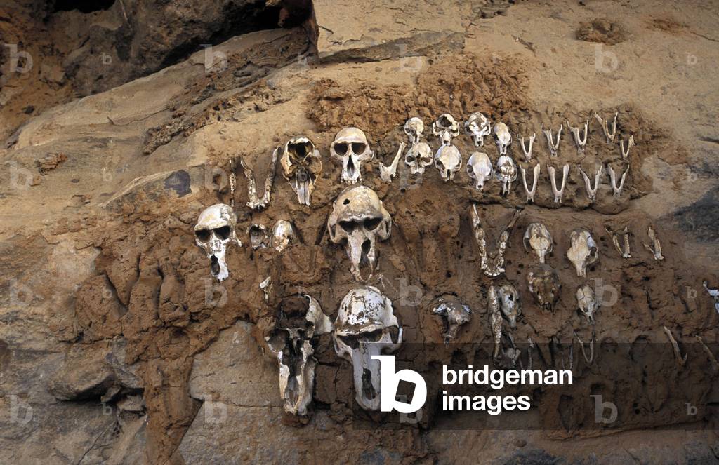 Dogon