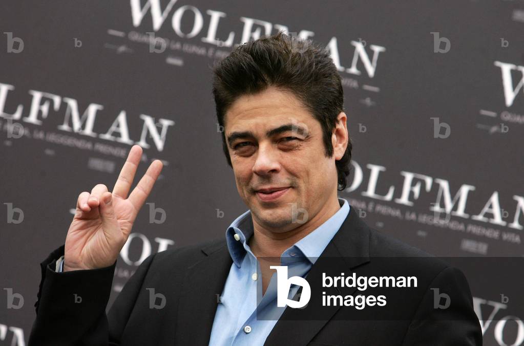 Benicio Del Toro
