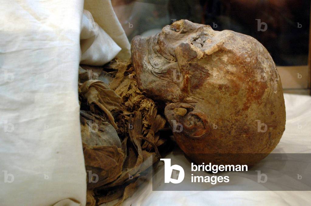 Mummy of Hatshepsut
