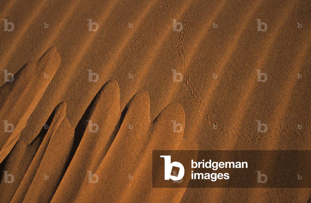 Namibia Desert
