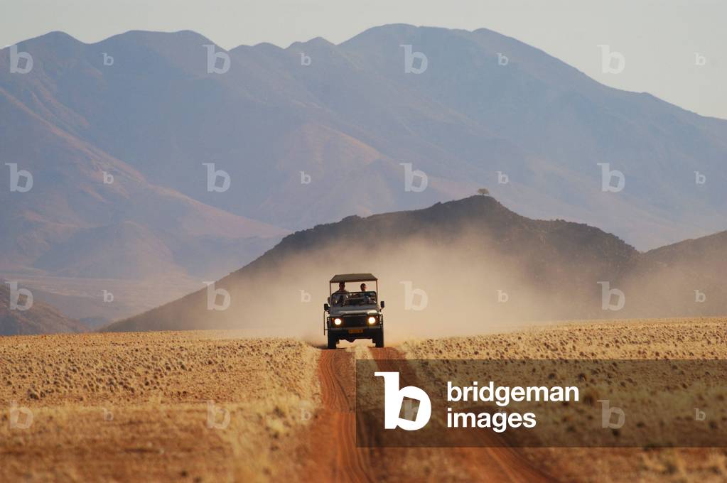 Namibia Desert