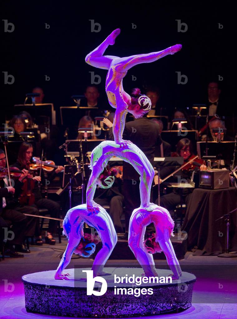 Acrobates