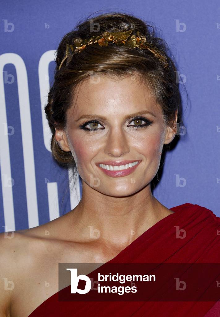 Stana Katic