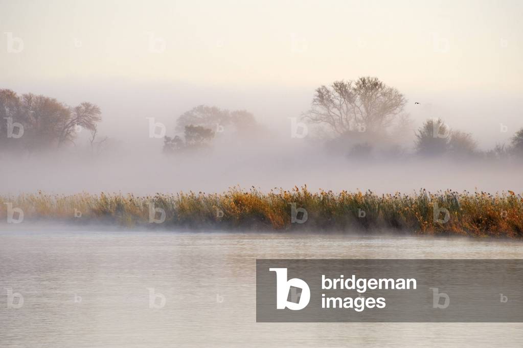 Okavango