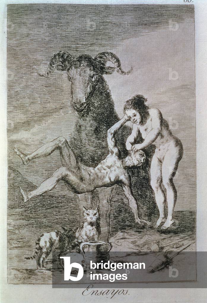 193-0082160 Trials 1799 by Francisco Jose de Goya y Lucientes