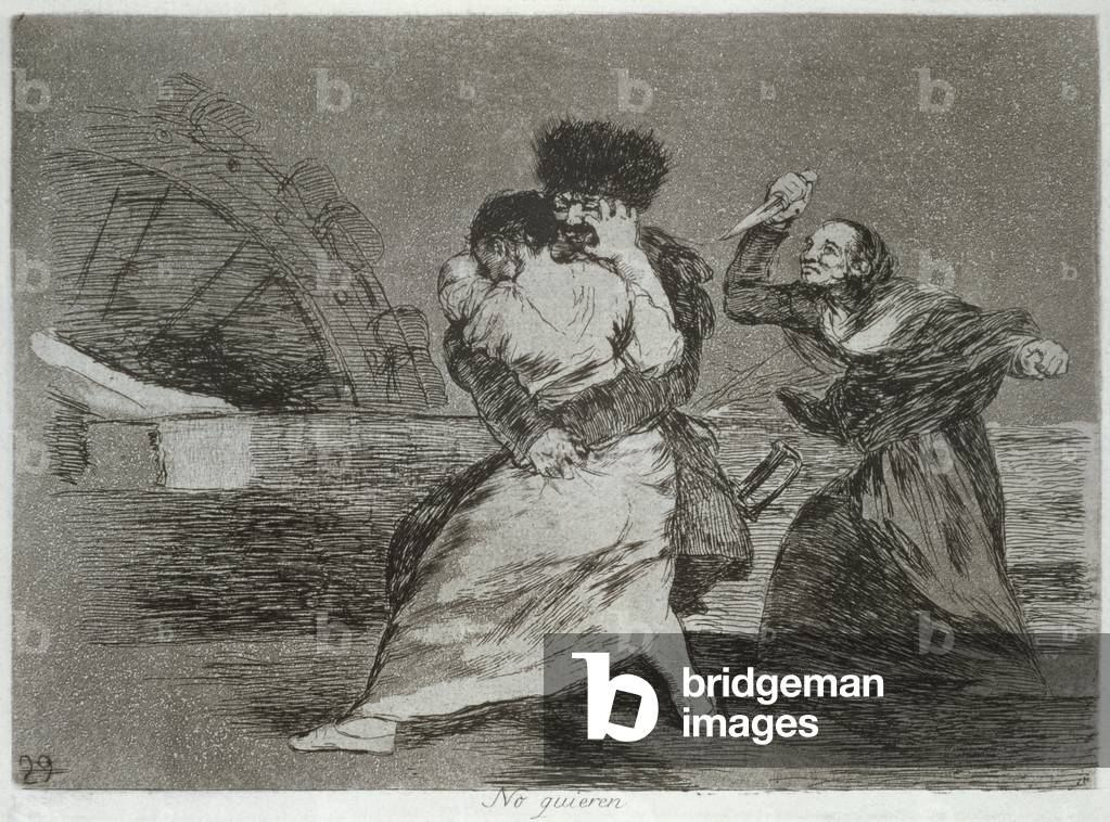 193-0082190 They don't like it, plate 9 of 'The Disasters of War', 1810-14, pub. 1863 (etching)