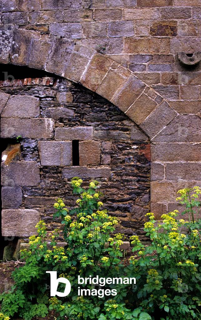 Detail of the countercarp of the citadel of Belle-Ile-en-Mer (Belle ile en Mer or Belle-Ile), Morbihan, Brittany, France. Architecture 1683-1689