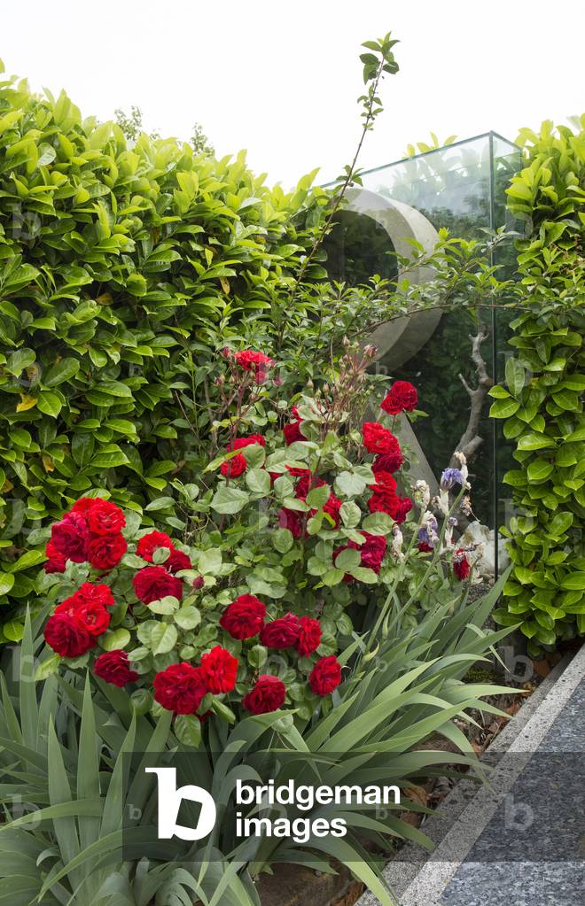 Cemetery of the Croix-Rousse, Lyon, 2016 (photograph)