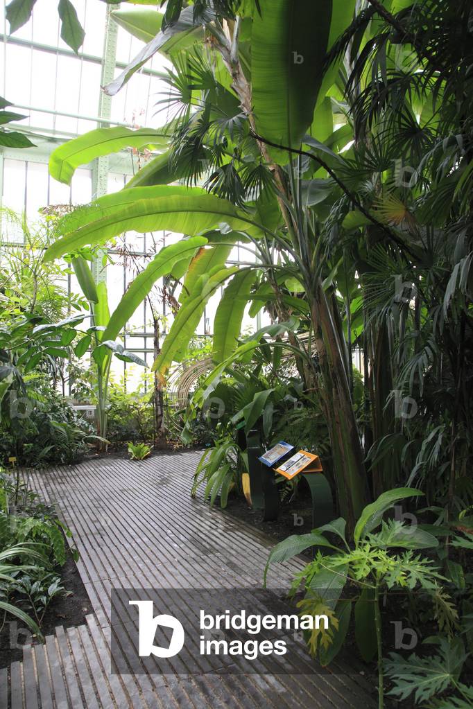 One of the three greenhouses of the garden of plants in Paris 75005.