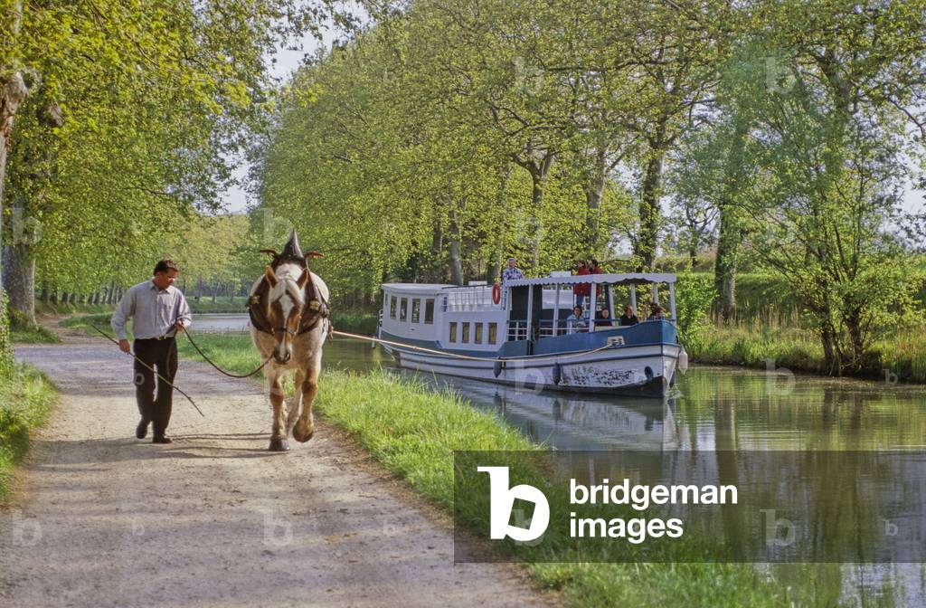 The Canal du Midi and towpath. A horse goes up a peniche. At 60 years old, under Louis XIV, engineer Pierre Paul Riquet embarks on an extraordinary adventure, connecting the Garonne to the Mediterranean with the technical and topographical means of the 18th century. The Midi Canal will take 15 years of work to dig and feed a 240 km long artificial stream.