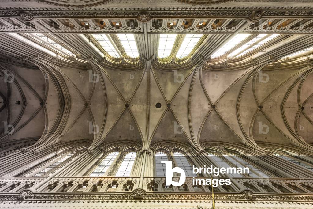 vault of the nave, cathedral of Saint Vincent de Bayeux