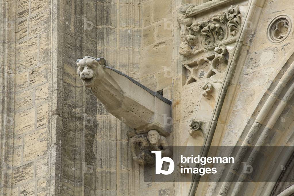 19th century gargoyle south facade, cathedral of Saint Vincent de Bayeux