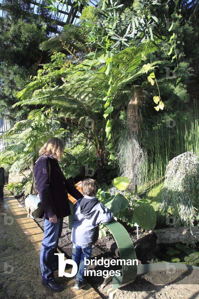 One of the three greenhouses of the garden of plants in Paris 75005.