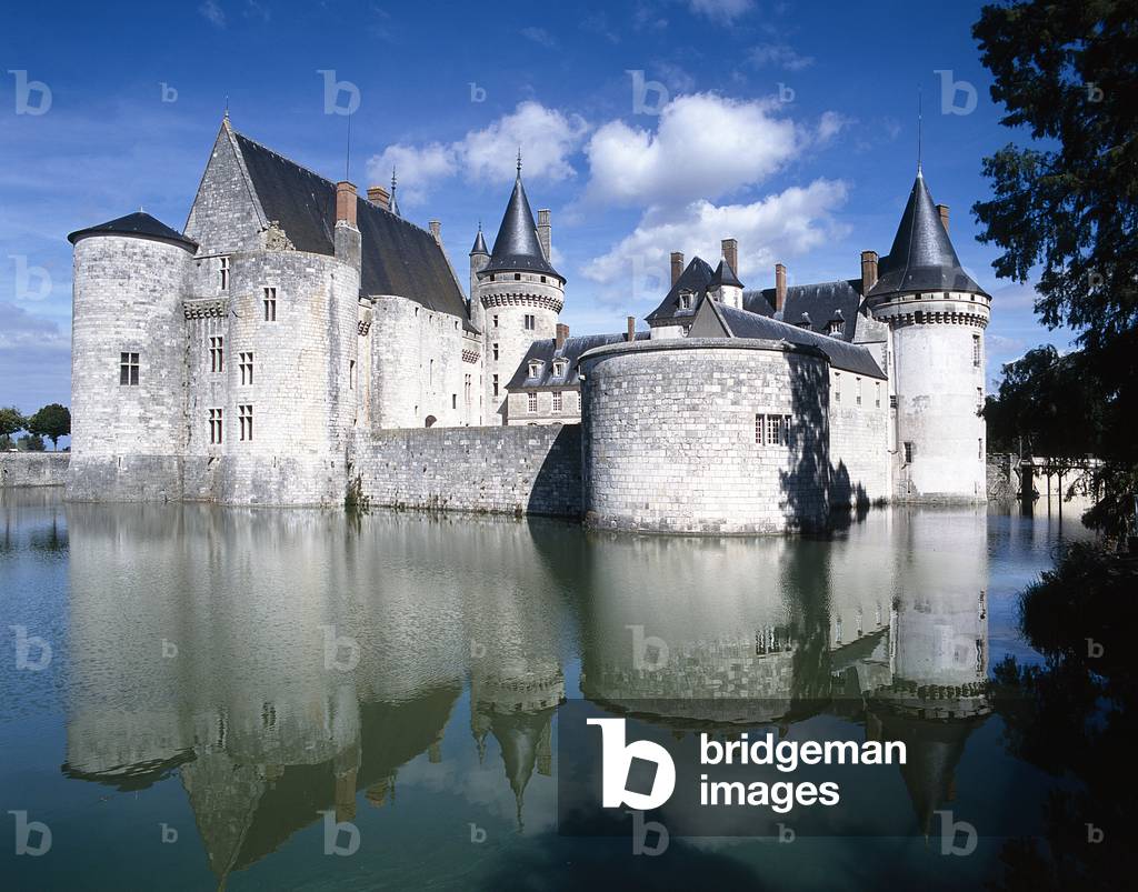 Le Chateaux de Sully sur Loire (Loiret).