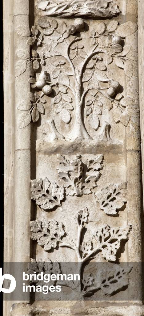 On the left floor of the portal of the Coronation of the Virgin, four panels represent the sagebrush, walnut, ivy and rose hips. Cathedrale Notre Dame de Paris Cathedrale Notre Dame de Paris - Paris 4 - XIIIth, XIIIth, XIXeme, rehabilitation by Viollet-le-Duc -