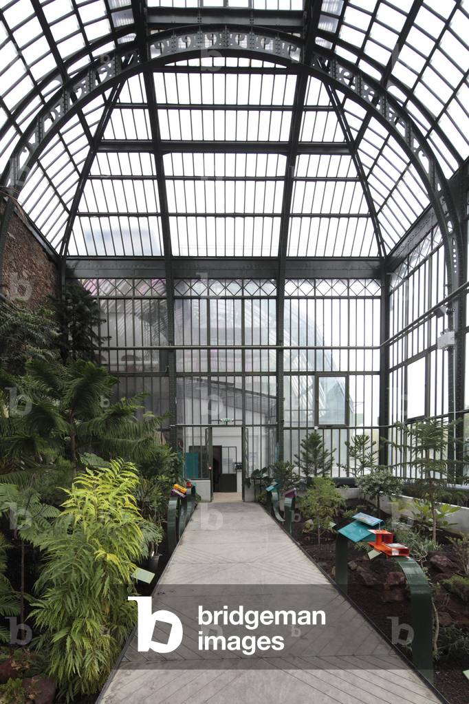 One of the three greenhouses of the garden of plants in Paris 75005.