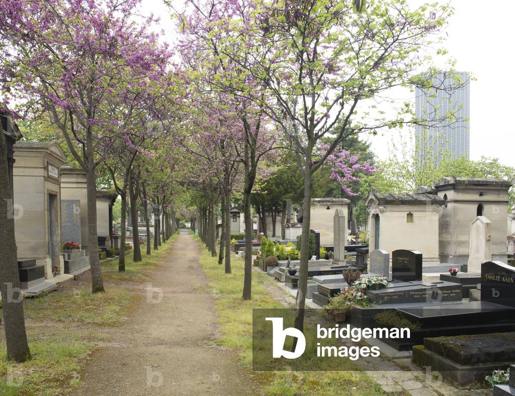 Cemetery of Montparnasse, Paris, 2016 (photograph)
