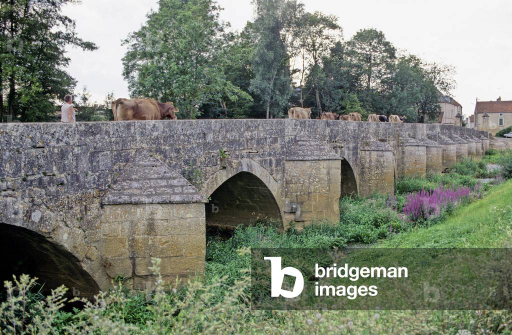 Bridge of Cry on Armencon in the Yonne. Photography 15/11/03.