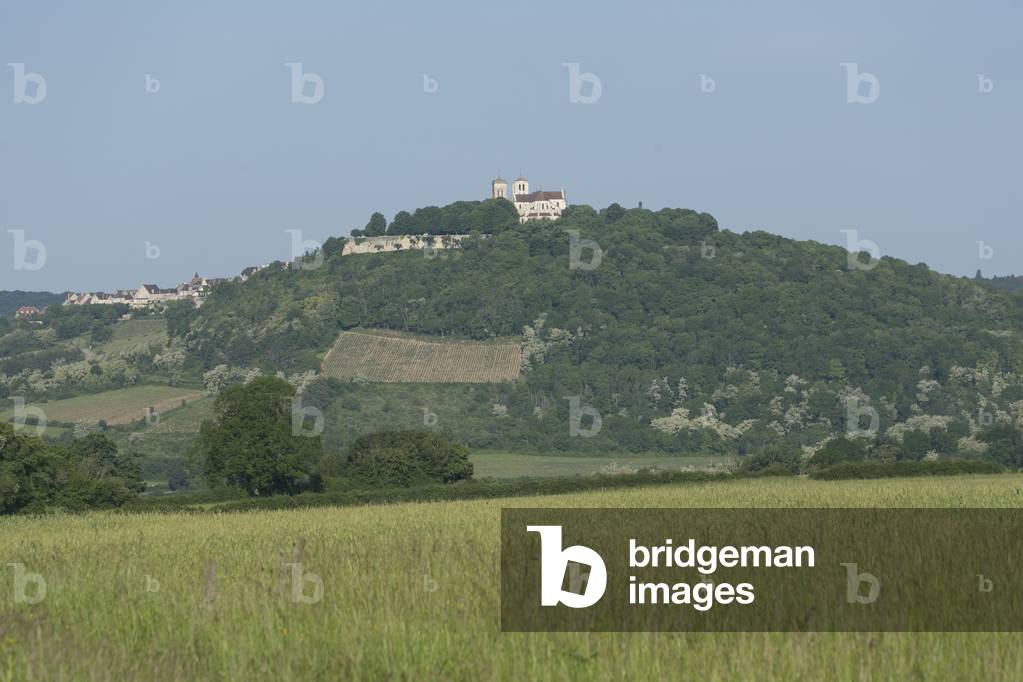 General view of Vezelay (photography)