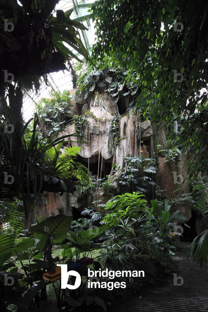One of the three greenhouses of the garden of plants in Paris 75005.