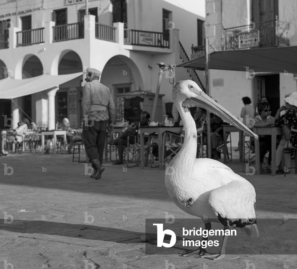 Mykonos (b/w photo)