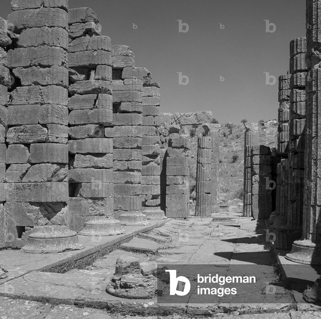 Temple of Apollo, Bassae (b/w photo)