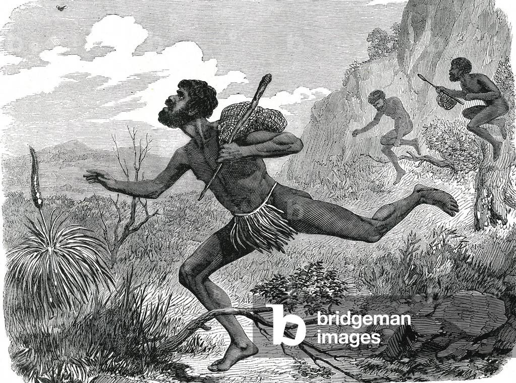 Bee hunting in Australia. Engraving 1868