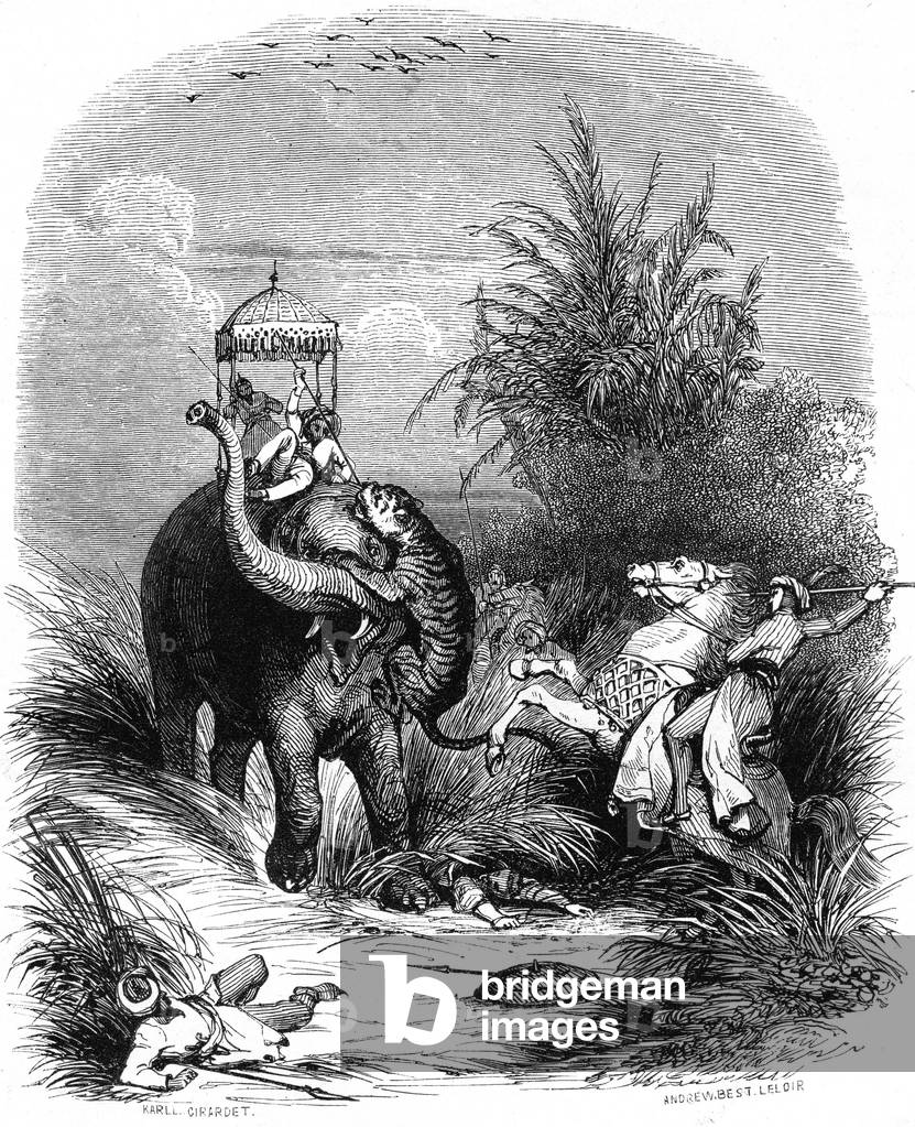 Tiger hunting in INDIA. Engraving 1842