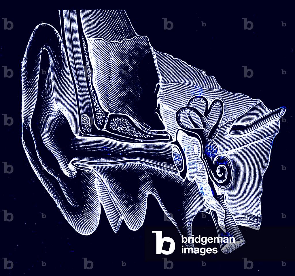 The hearing aid, 1891 (engraving)
