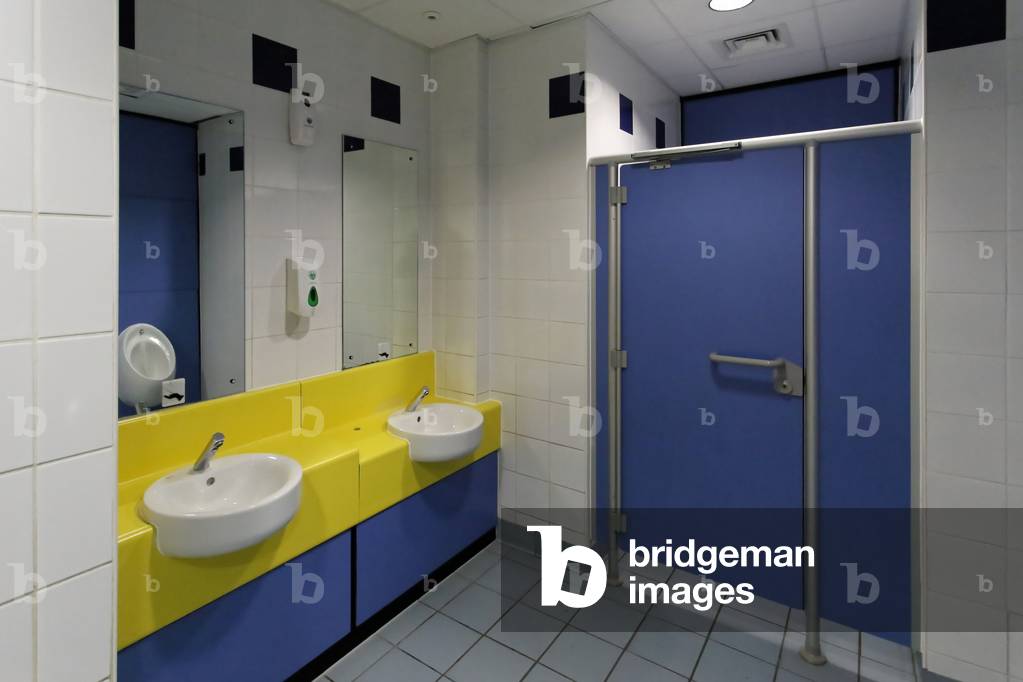 Plymouth Life Centre, gents lavatory (photo)