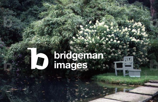 The fishpond (photo)