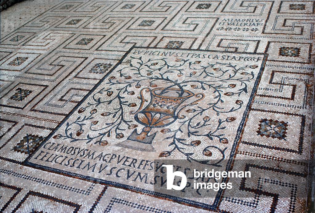 Detail of floor of the original basilica (mosaic)