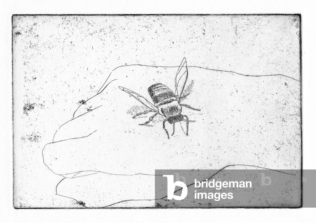 As Hieronymus emerged, a bee landed on his hand. 