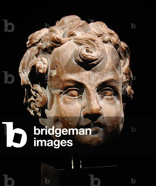 Head of a Boy, c.1600 (terracotta)