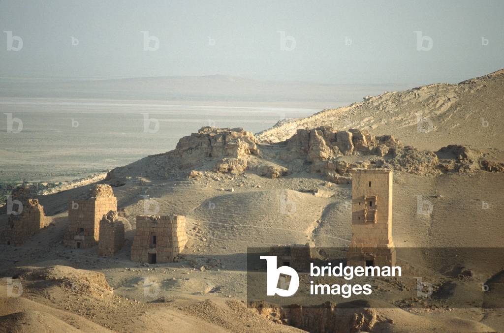 The Valley of the Tombs, or Western Necropolis, showing the remains of the Palmyran Tower Tombs (photo)