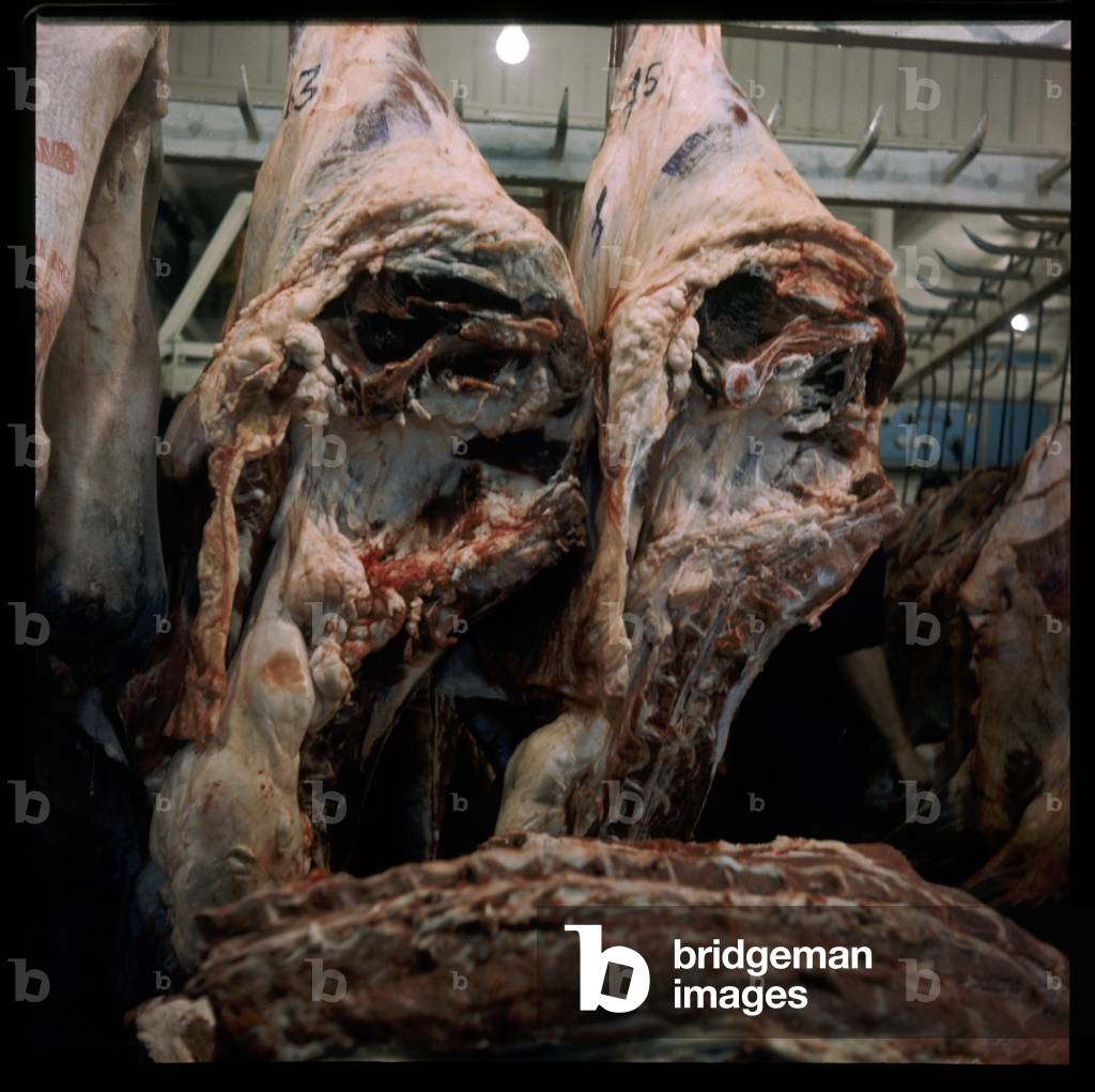 Butchered meat hanging in a store, possibly taken for Francis Bacon, early 1960's
