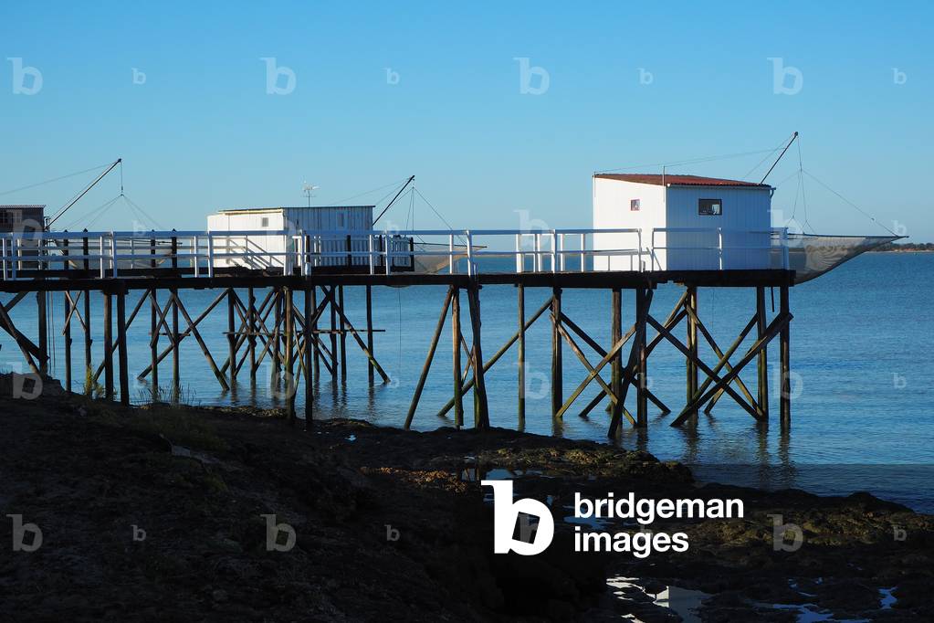 Carrelet, hut on stilts equipped with a mobile net for the pocket, Charente Maritime, Fouras, France (photo)
